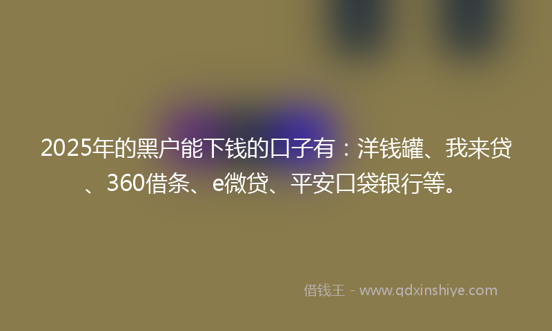 2025年的黑户能下钱的口子有：洋钱罐、我来贷、360借条、e微贷、平安口袋银行等。