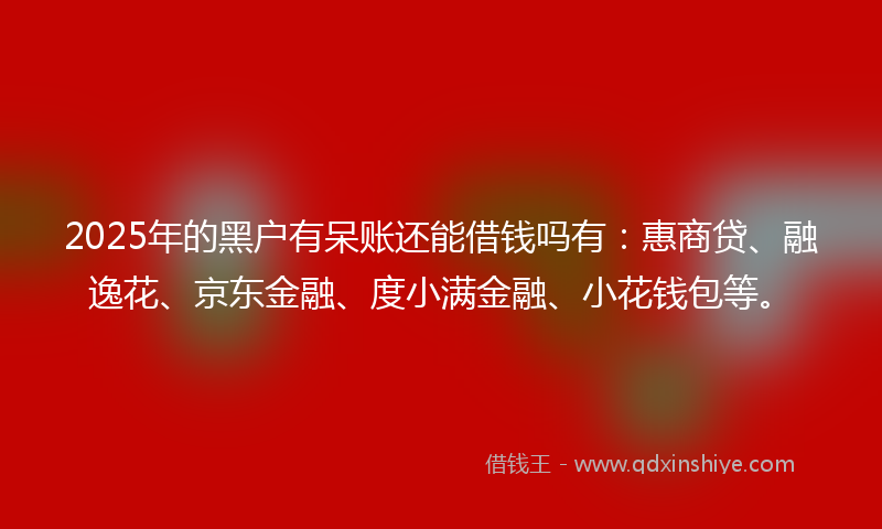 2025年的黑户有呆账还能借钱吗有：惠商贷、融逸花、京东金融、度小满金融、小花钱包等。
