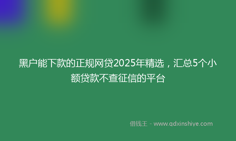 黑户能下款的正规网贷2025年精选，汇总5个小额贷款不查征信的平台