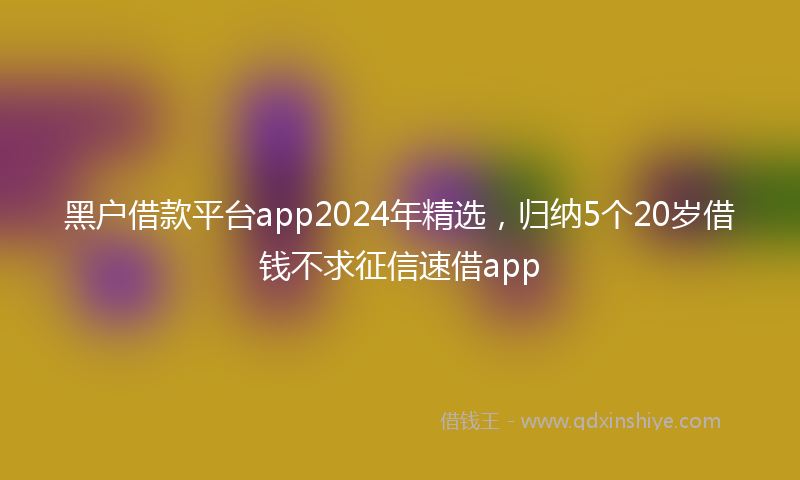 黑户借款平台app2024年精选，归纳5个20岁借钱不求征信速借app