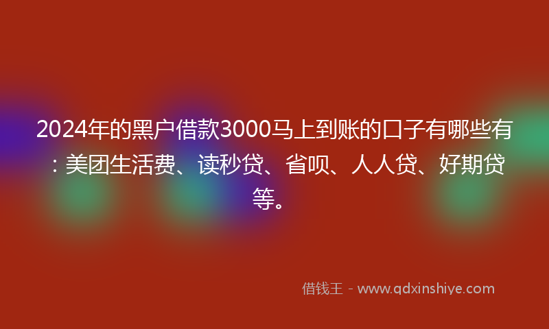 2024年的黑户借款3000马上到账的口子有哪些有：美团生活费、读秒贷、省呗、人人贷、好期贷等。