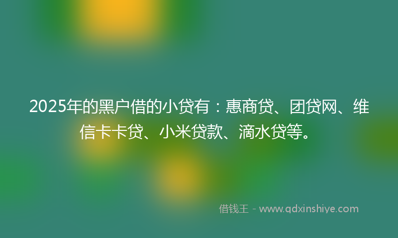2025年的黑户借的小贷有：惠商贷、团贷网、维信卡卡贷、小米贷款、滴水贷等。