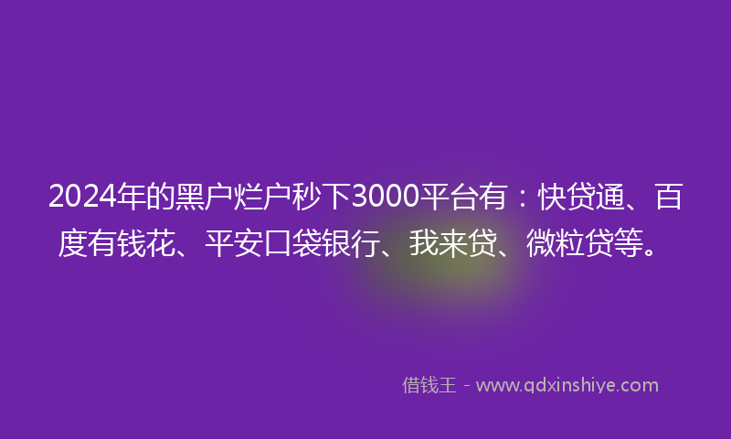 2024年的黑户烂户秒下3000平台有：快贷通、百度有钱花、平安口袋银行、我来贷、微粒贷等。