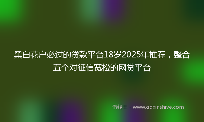 黑白花户必过的贷款平台18岁2025年推荐，整合五个对征信宽松的网贷平台
