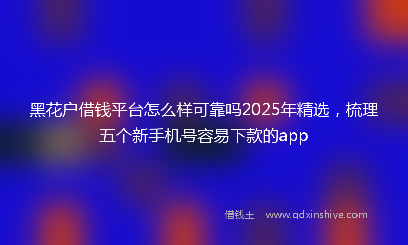 黑花户借钱平台怎么样可靠吗2025年精选，梳理五个新手机号容易下款的app