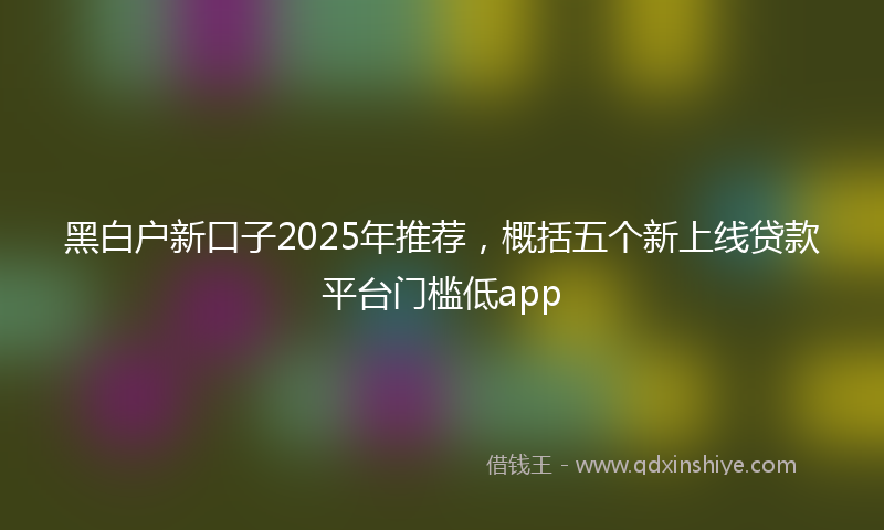 黑白户新口子2025年推荐，概括五个新上线贷款平台门槛低app