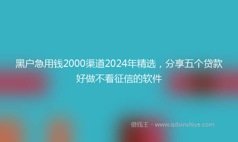 黑户急用钱2000渠道2024年精选，分享五个贷款好做不看征信的软件