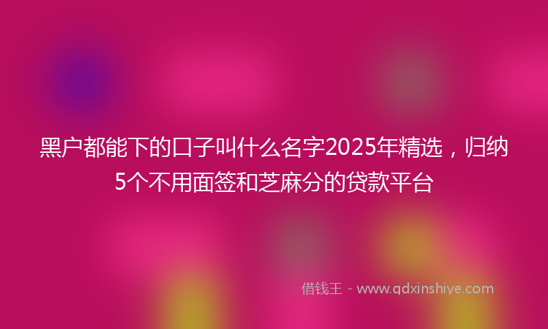 黑户都能下的口子叫什么名字2025年精选，归纳5个不用面签和芝麻分的贷款平台