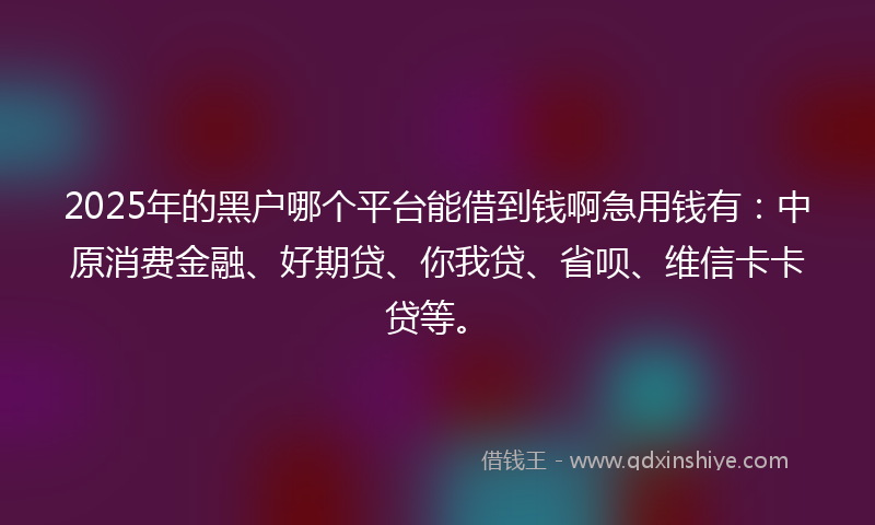 2025年的黑户哪个平台能借到钱啊急用钱有：中原消费金融、好期贷、你我贷、省呗、维信卡卡贷等。