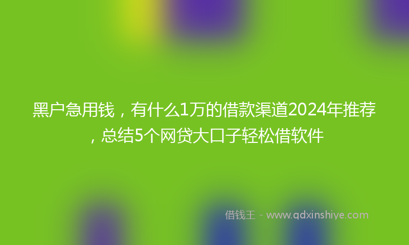 黑户急用钱，有什么1万的借款渠道2024年推荐，总结5个网贷大口子轻松借软件