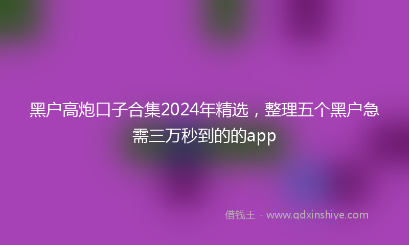黑户高炮口子合集2024年精选，整理五个黑户急需三万秒到的的app