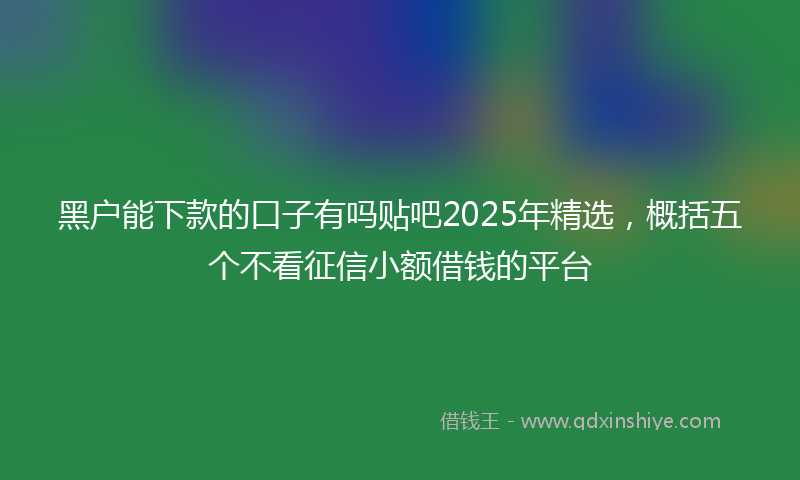 黑户能下款的口子有吗贴吧2025年精选，概括五个不看征信小额借钱的平台