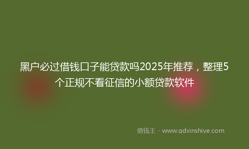 黑户必过借钱口子能贷款吗2025年推荐，整理5个正规不看征信的小额贷款软件