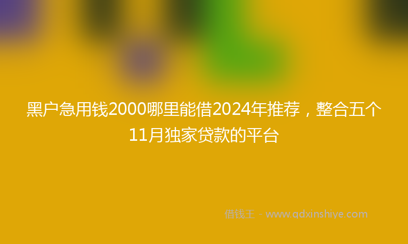 黑户急用钱2000哪里能借2024年推荐，整合五个11月独家贷款的平台