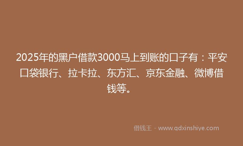 2025年的黑户借款3000马上到账的口子有：平安口袋银行、拉卡拉、东方汇、京东金融、微博借钱等。
