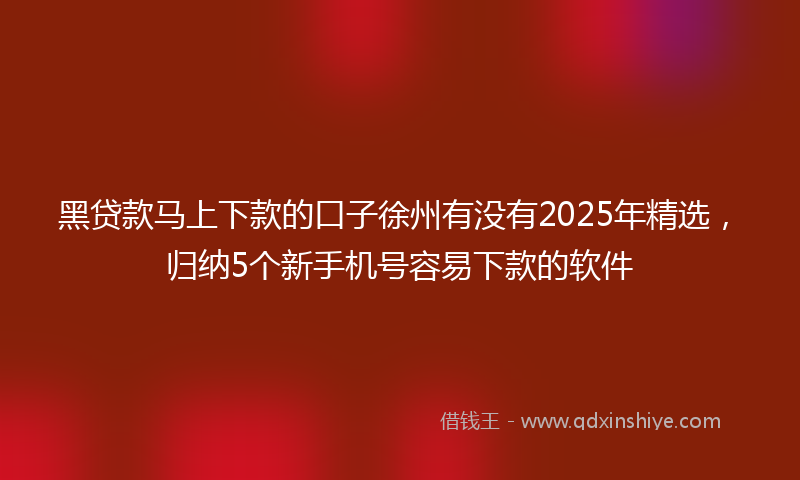 黑贷款马上下款的口子徐州有没有2025年精选，归纳5个新手机号容易下款的软件