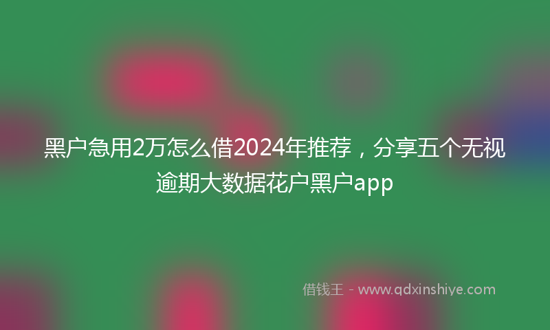 黑户急用2万怎么借2024年推荐，分享五个无视逾期大数据花户黑户app