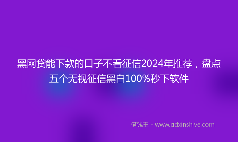 黑网贷能下款的口子不看征信2024年推荐，盘点五个无视征信黑白100%秒下软件