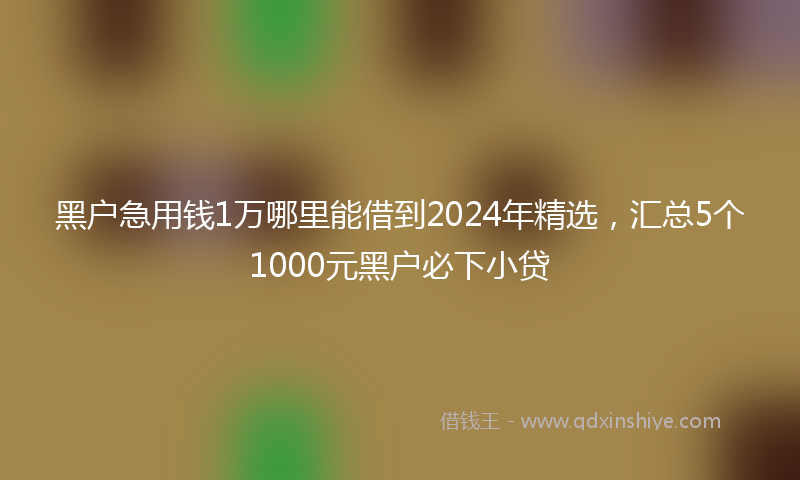 黑户急用钱1万哪里能借到2024年精选，汇总5个1000元黑户必下小贷