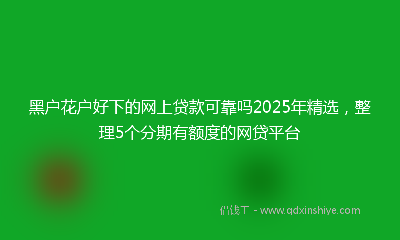 黑户花户好下的网上贷款可靠吗2025年精选，整理5个分期有额度的网贷平台