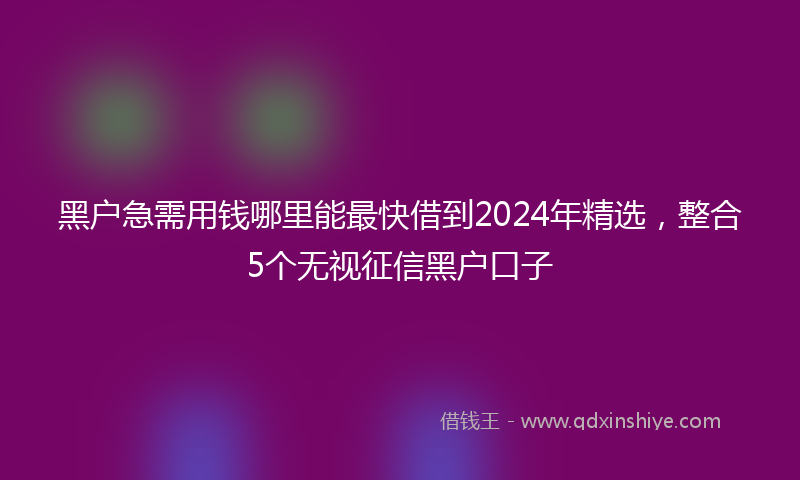 黑户急需用钱哪里能最快借到2024年精选，整合5个无视征信黑户口子