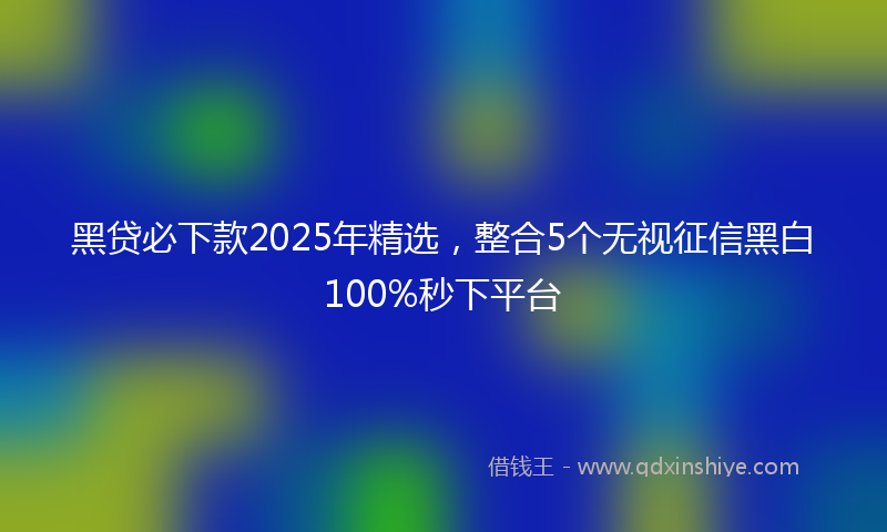 黑贷必下款2025年精选，整合5个无视征信黑白100%秒下平台