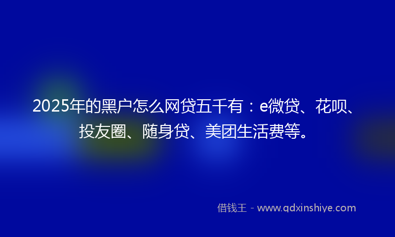 2025年的黑户怎么网贷五千有：e微贷、花呗、投友圈、随身贷、美团生活费等。