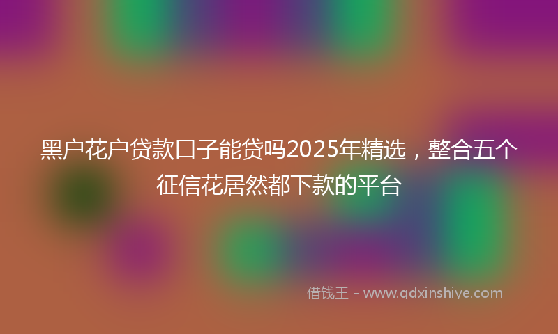 黑户花户贷款口子能贷吗2025年精选，整合五个征信花居然都下款的平台
