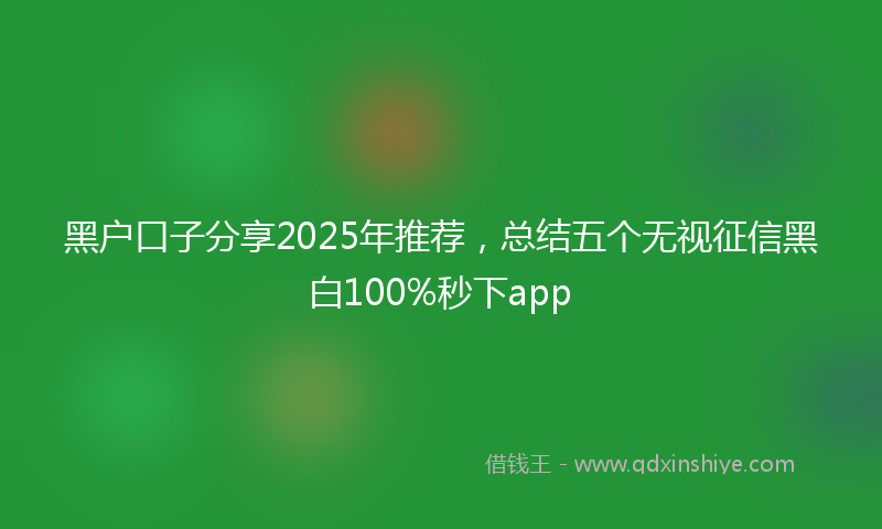 黑户口子分享2025年推荐，总结五个无视征信黑白100%秒下app