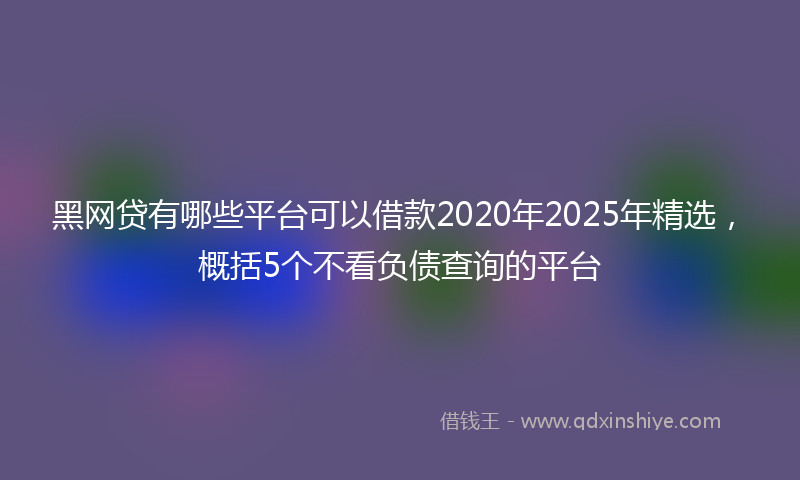 黑网贷有哪些平台可以借款2020年2025年精选，概括5个不看负债查询的平台