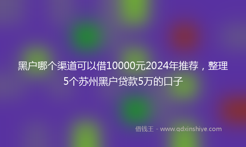 黑户哪个渠道可以借10000元2024年推荐，整理5个苏州黑户贷款5万的口子