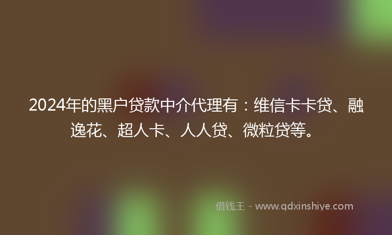 2024年的黑户贷款中介代理有：维信卡卡贷、融逸花、超人卡、人人贷、微粒贷等。