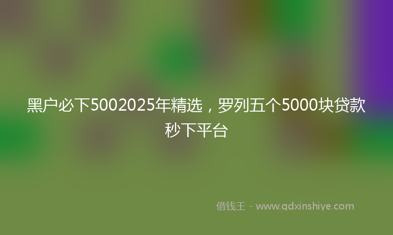 黑户必下5002025年精选，罗列五个5000块贷款秒下平台
