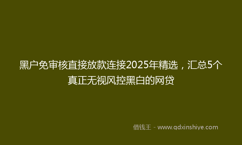 黑户免审核直接放款连接2025年精选，汇总5个真正无视风控黑白的网贷