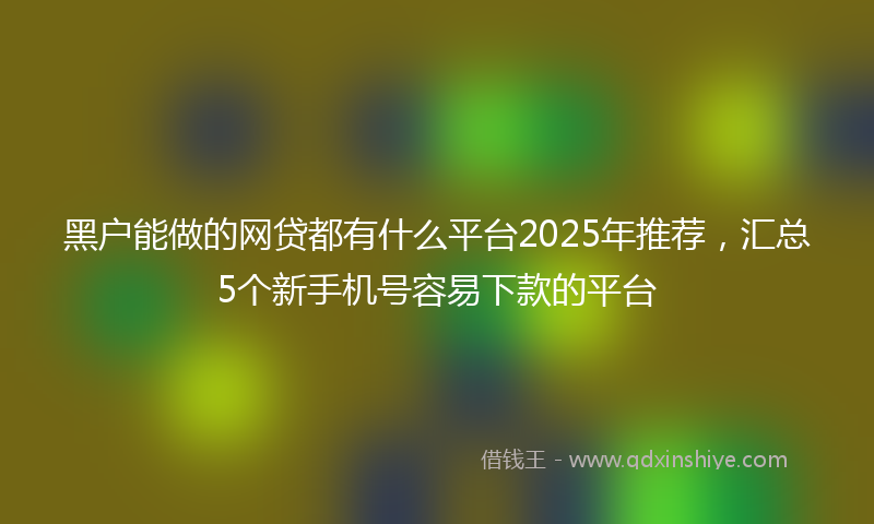 黑户能做的网贷都有什么平台2025年推荐，汇总5个新手机号容易下款的平台