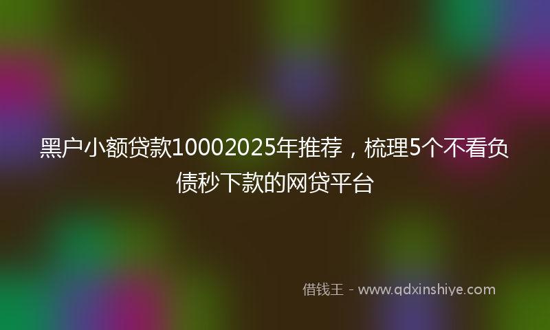 黑户小额贷款10002025年推荐，梳理5个不看负债秒下款的网贷平台