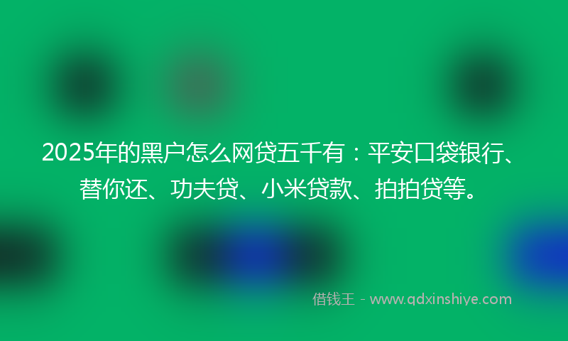2025年的黑户怎么网贷五千有：平安口袋银行、替你还、功夫贷、小米贷款、拍拍贷等。