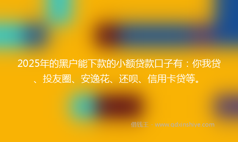 2025年的黑户能下款的小额贷款口子有：你我贷、投友圈、安逸花、还呗、信用卡贷等。