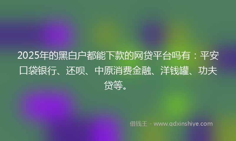 2025年的黑白户都能下款的网贷平台吗有：平安口袋银行、还呗、中原消费金融、洋钱罐、功夫贷等。