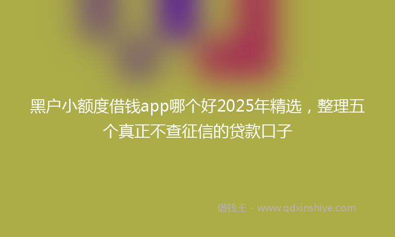 黑户小额度借钱app哪个好2025年精选，整理五个真正不查征信的贷款口子