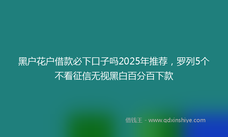 黑户花户借款必下口子吗2025年推荐，罗列5个不看征信无视黑白百分百下款