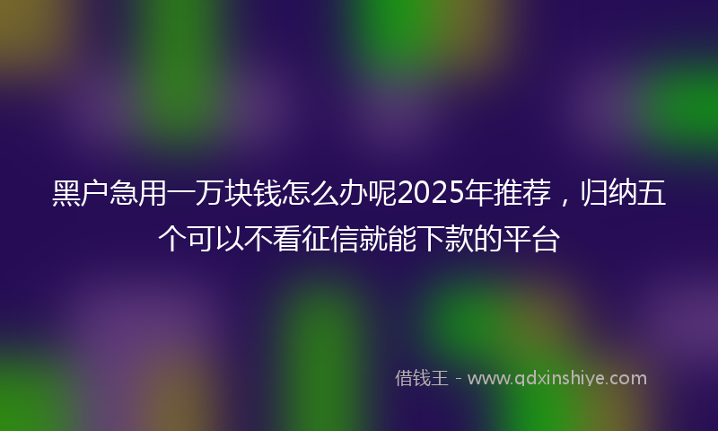 黑户急用一万块钱怎么办呢2025年推荐,归纳五个可以不看征信就能下款的平台