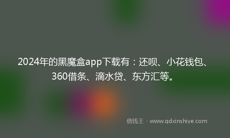 2024年的黑魔盒app下载有：还呗、小花钱包、360借条、滴水贷、东方汇等。