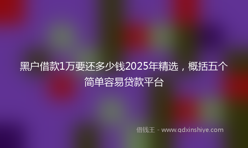 黑户借款1万要还多少钱2025年精选，概括五个简单容易贷款平台