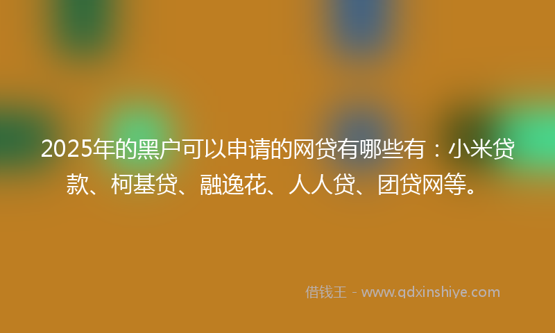 2025年的黑户可以申请的网贷有哪些有：小米贷款、柯基贷、融逸花、人人贷、团贷网等。