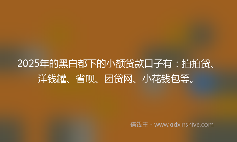 2025年的黑白都下的小额贷款口子有：拍拍贷、洋钱罐、省呗、团贷网、小花钱包等。