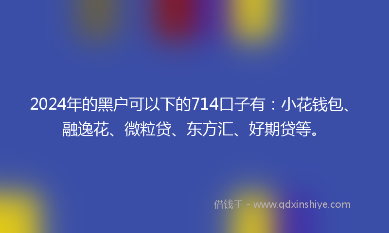 2024年的黑户可以下的714口子有：小花钱包、融逸花、微粒贷、东方汇、好期贷等。