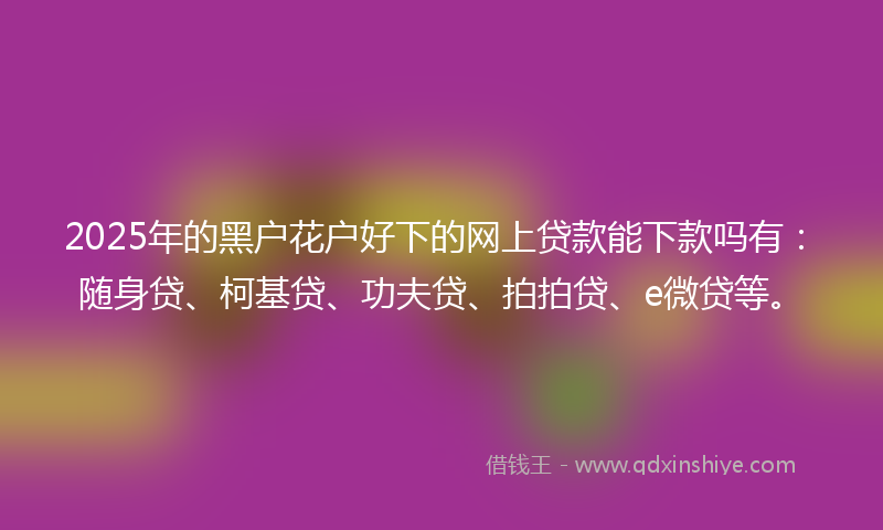 2025年的黑户花户好下的网上贷款能下款吗有：随身贷、柯基贷、功夫贷、拍拍贷、e微贷等。