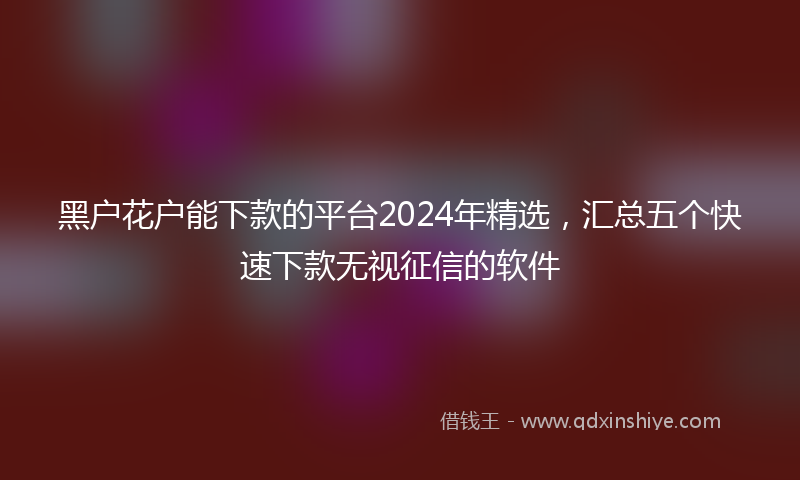 黑户花户能下款的平台2024年精选，汇总五个快速下款无视征信的软件