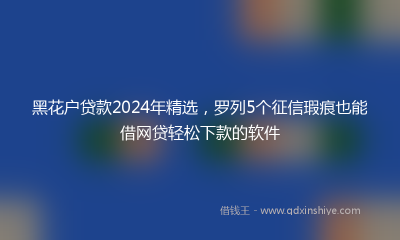 黑花户贷款2024年精选，罗列5个征信瑕疵也能借网贷轻松下款的软件